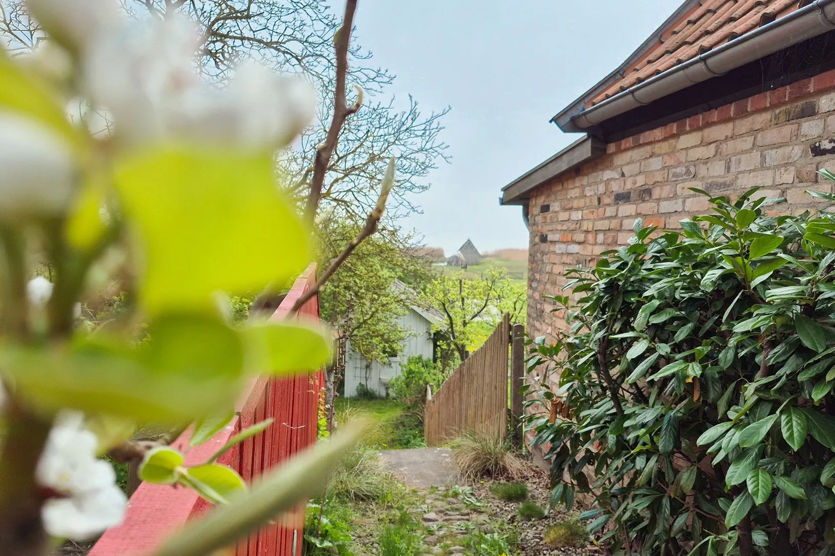  Boddenhaus Ostseebad Ahrenshoop - 