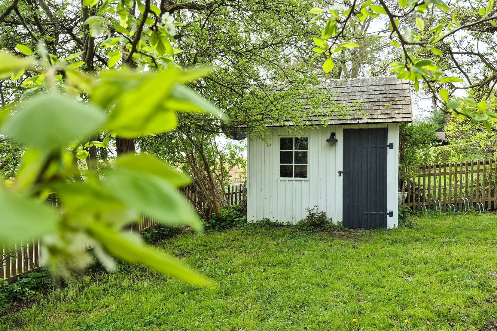  Boddenhaus Ostseebad Ahrenshoop - 