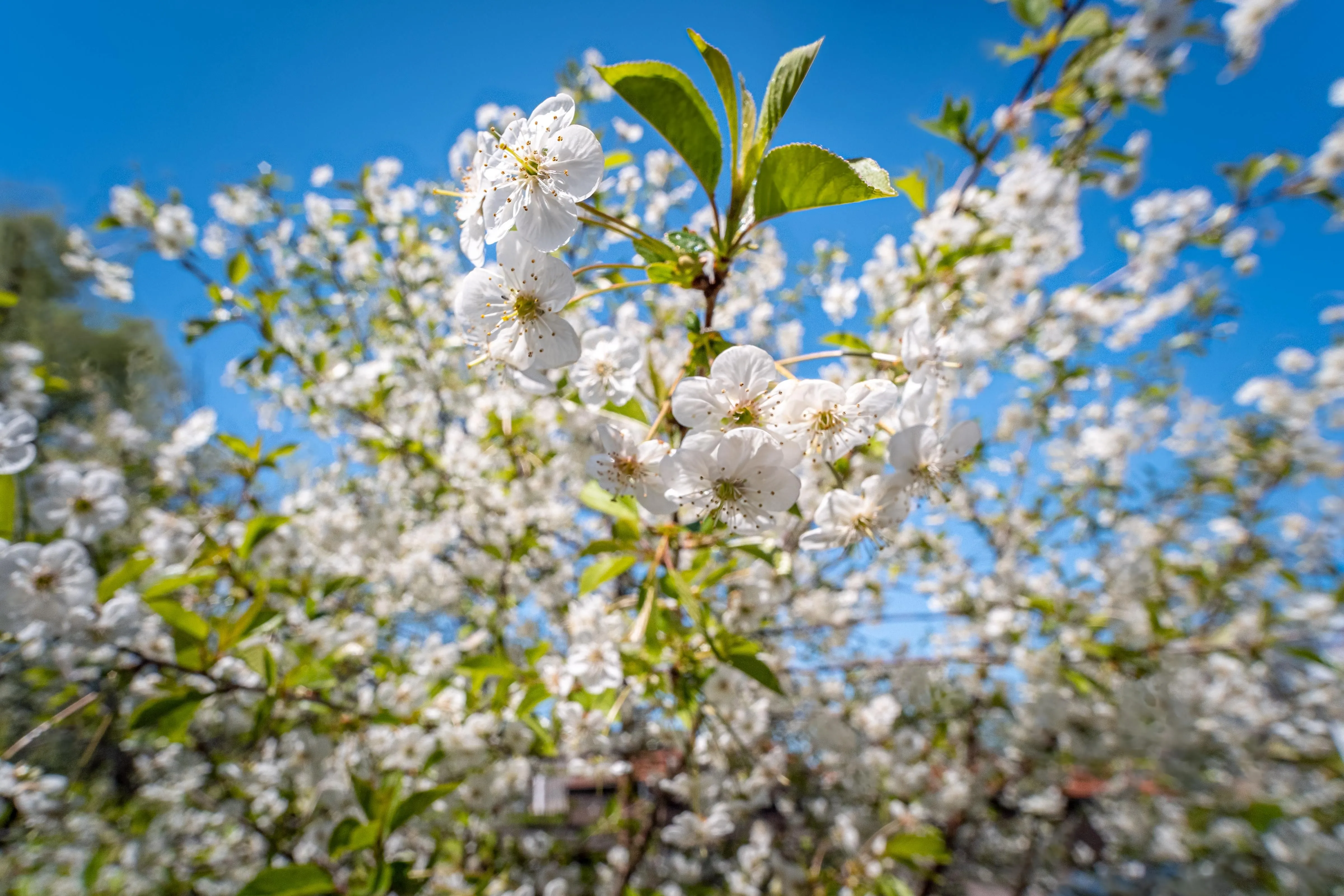  TURMHAUS Whg. TH-07 Ostseebad Wustrow - 