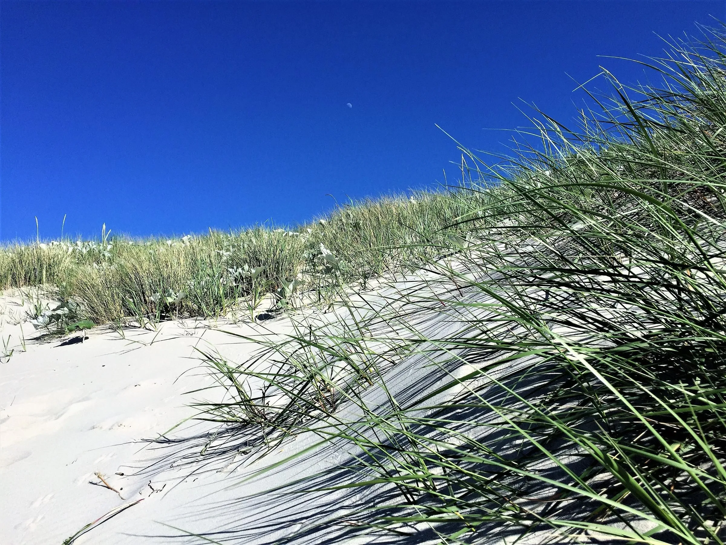 Bickbeeren FeWo BICKBEEREN Barbara Whg. 4 Ostseebad Dierhagen - 