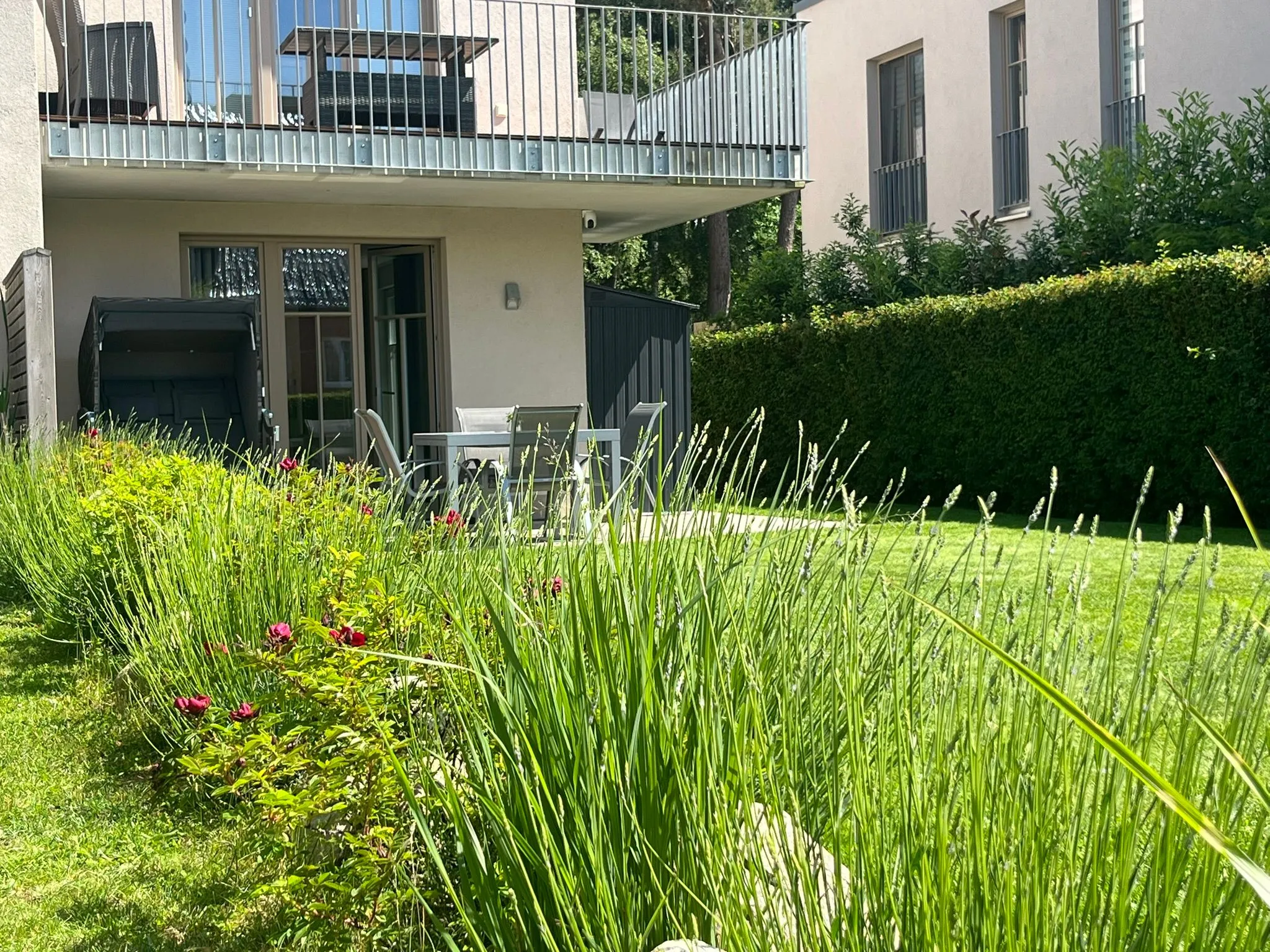 Bickbeeren FeWo BICKBEEREN Amalia Whg. 1 Ostseebad Dierhagen - 