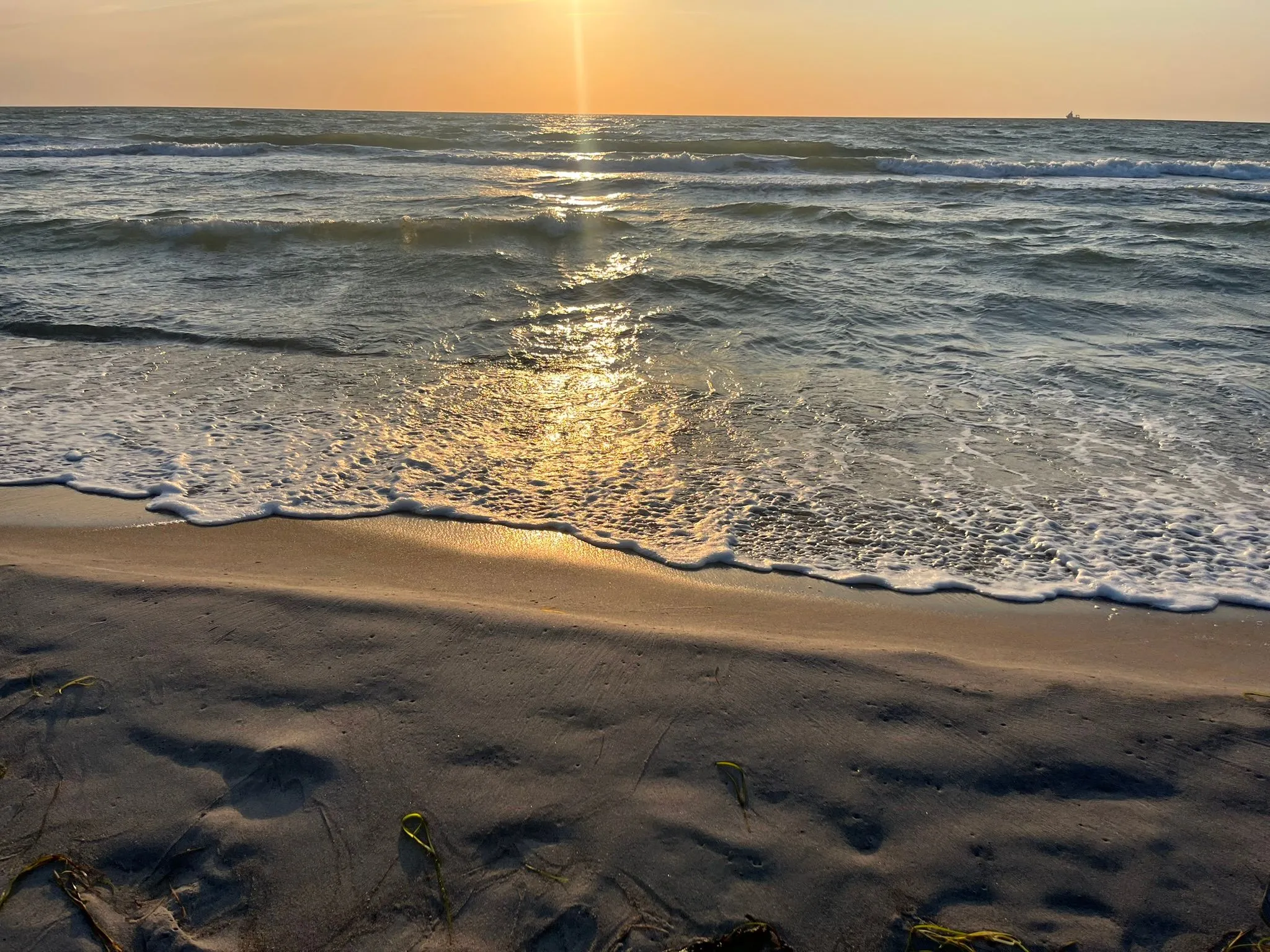 Bickbeeren FeWo BICKBEEREN Amalia Whg. 1 Ostseebad Dierhagen - 