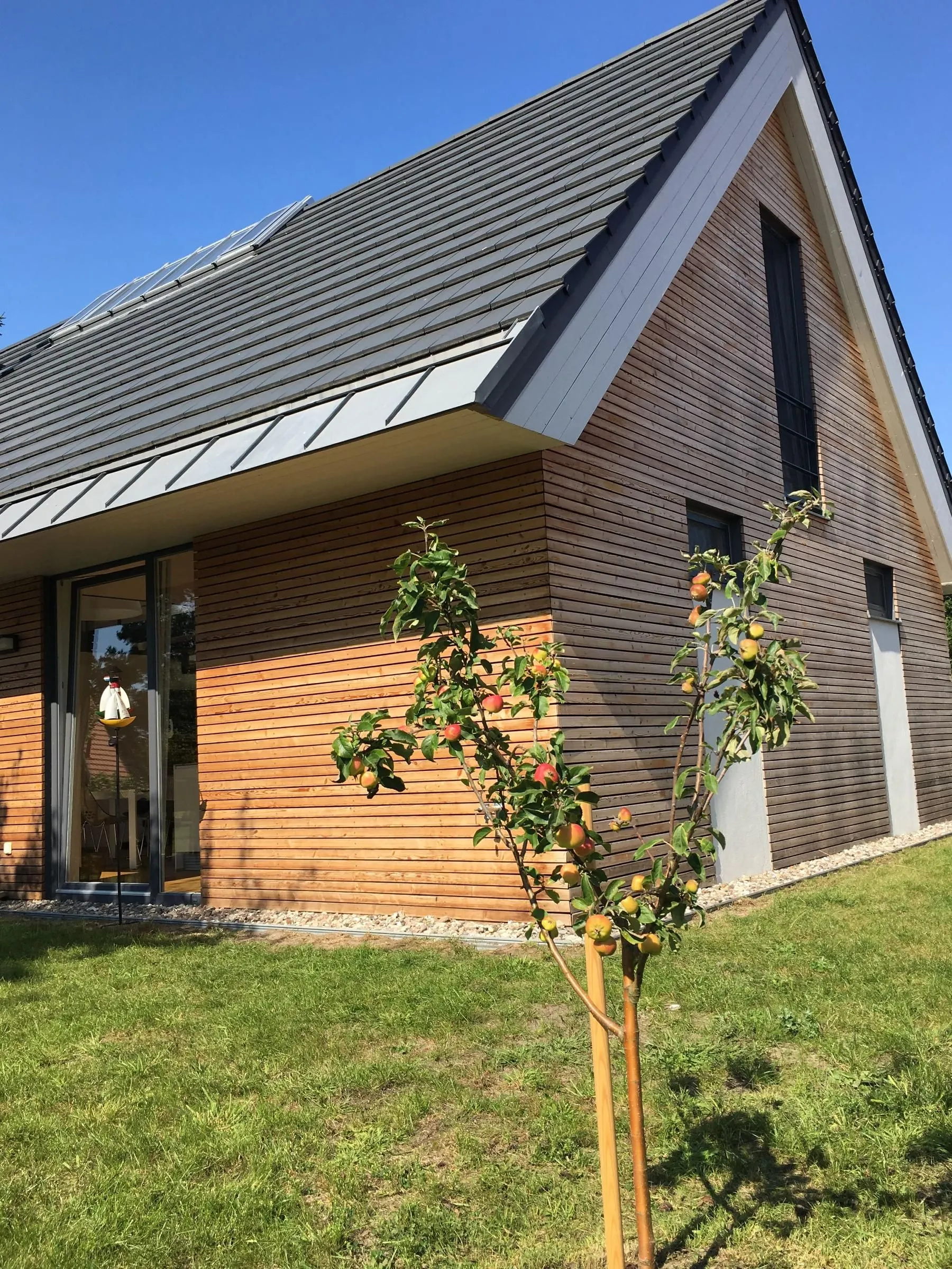 Born - Wieck Haus LICHT AND MOOR Seebad Born am Darß - 