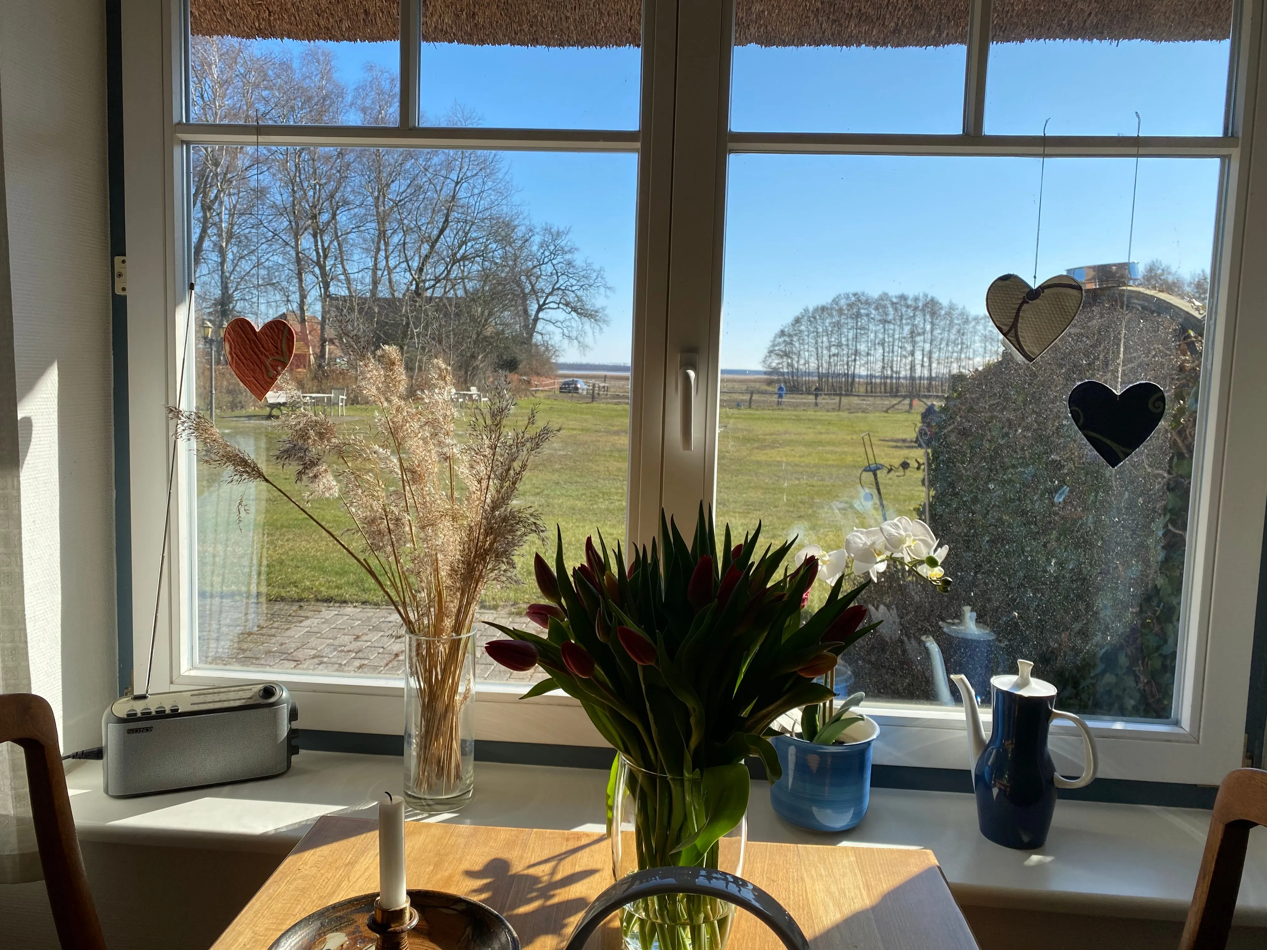 Ferienwohnanlage Nowo Ferienwohnungen Nowo Whg. 01 Seebad Born am Darß - 