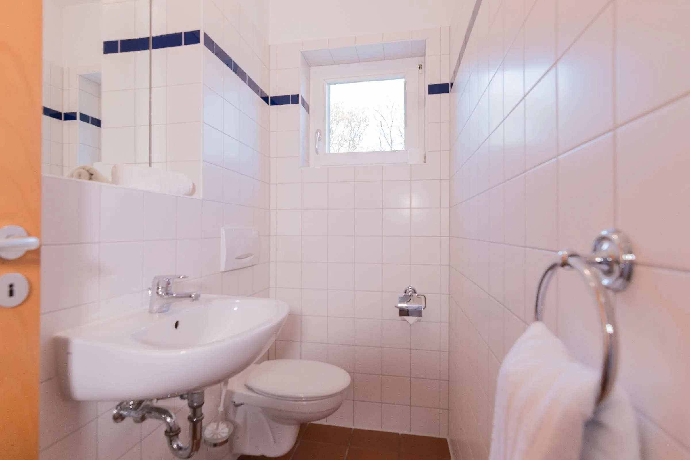  Landhaus DADDELDU Whg. V-D1 (vorne) Ostseebad Ahrenshoop - 