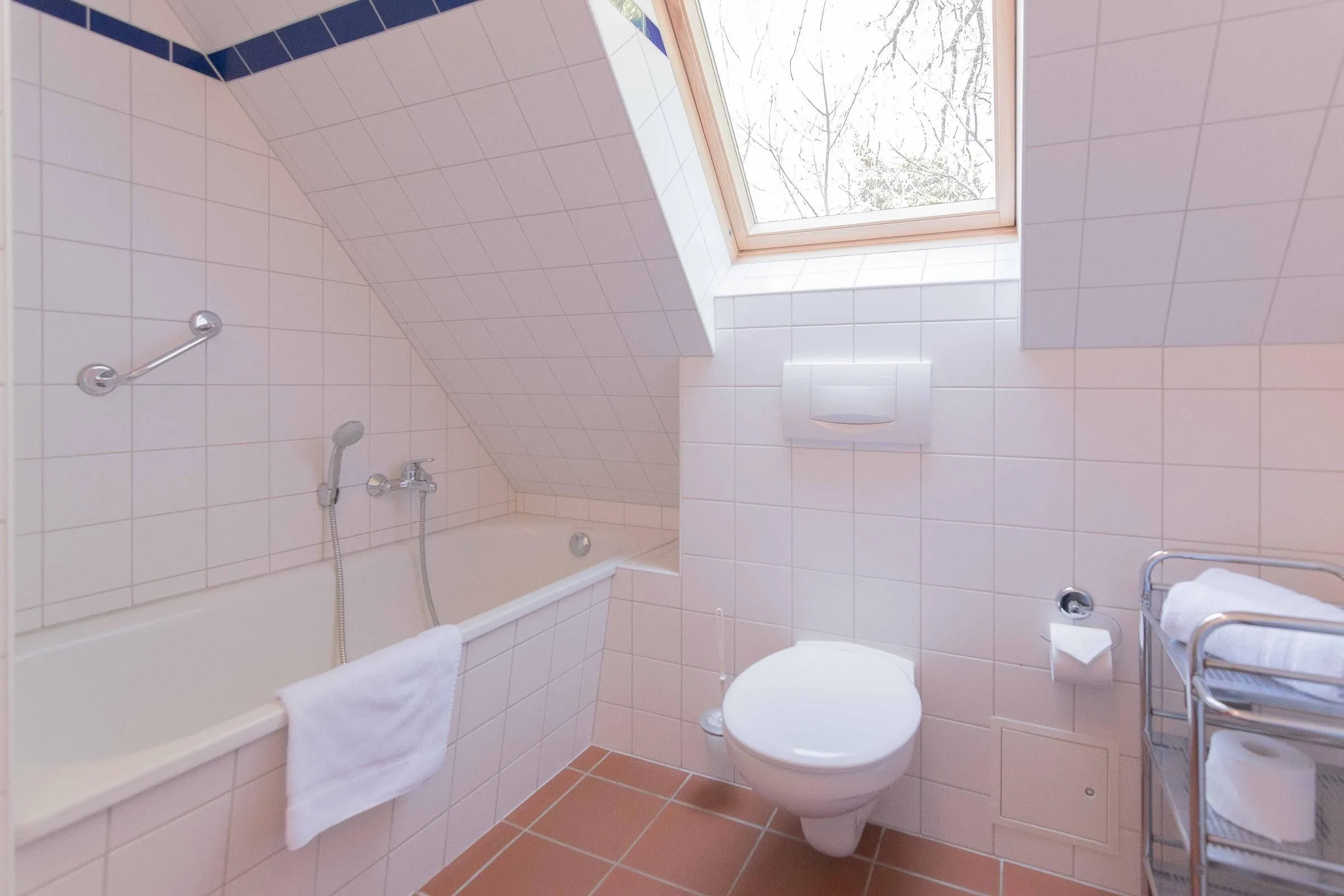  Landhaus DADDELDU Whg. V-D2 (hinten) Ostseebad Ahrenshoop - 