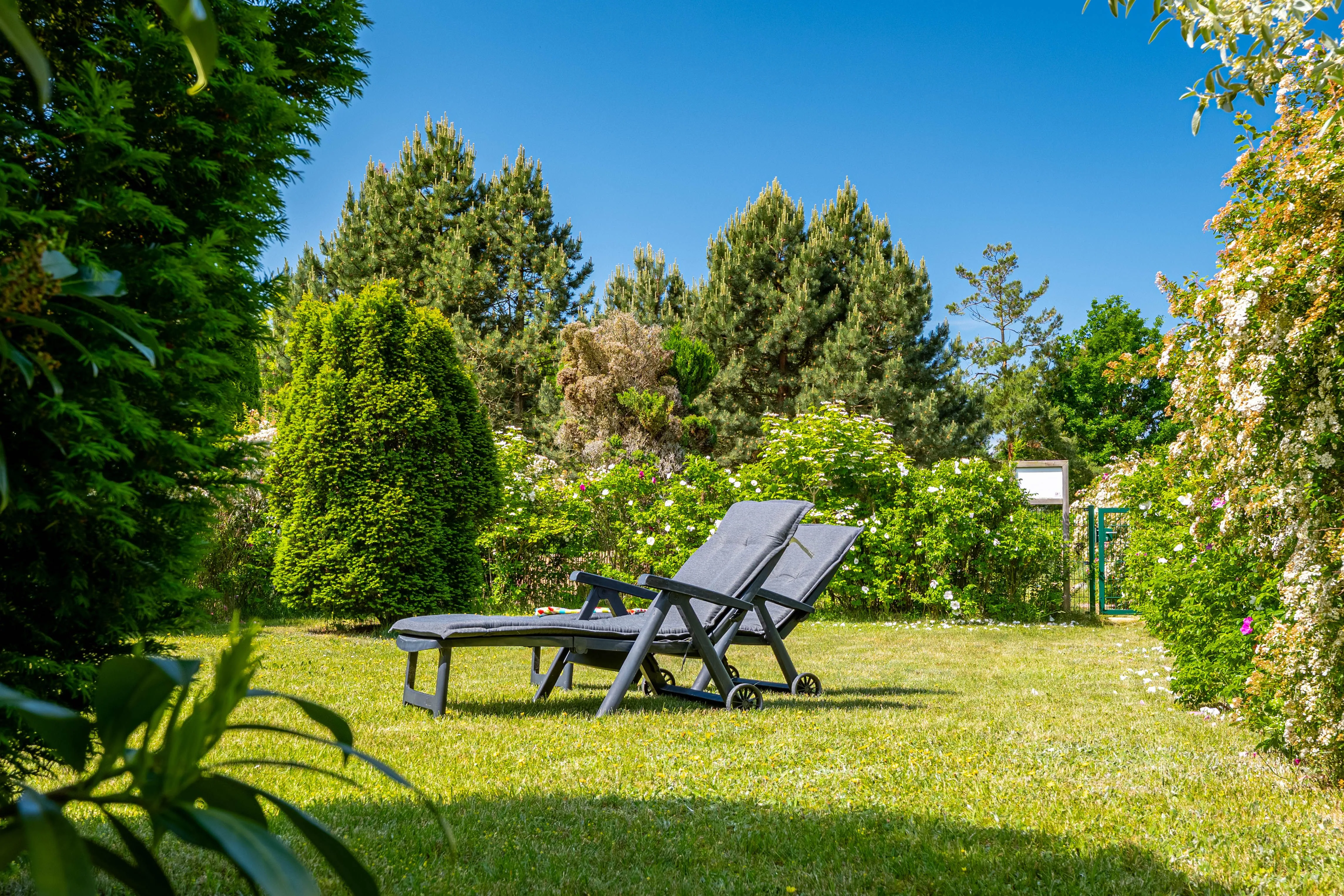  Haus Swante Wustrow Ostseebad Wustrow - 