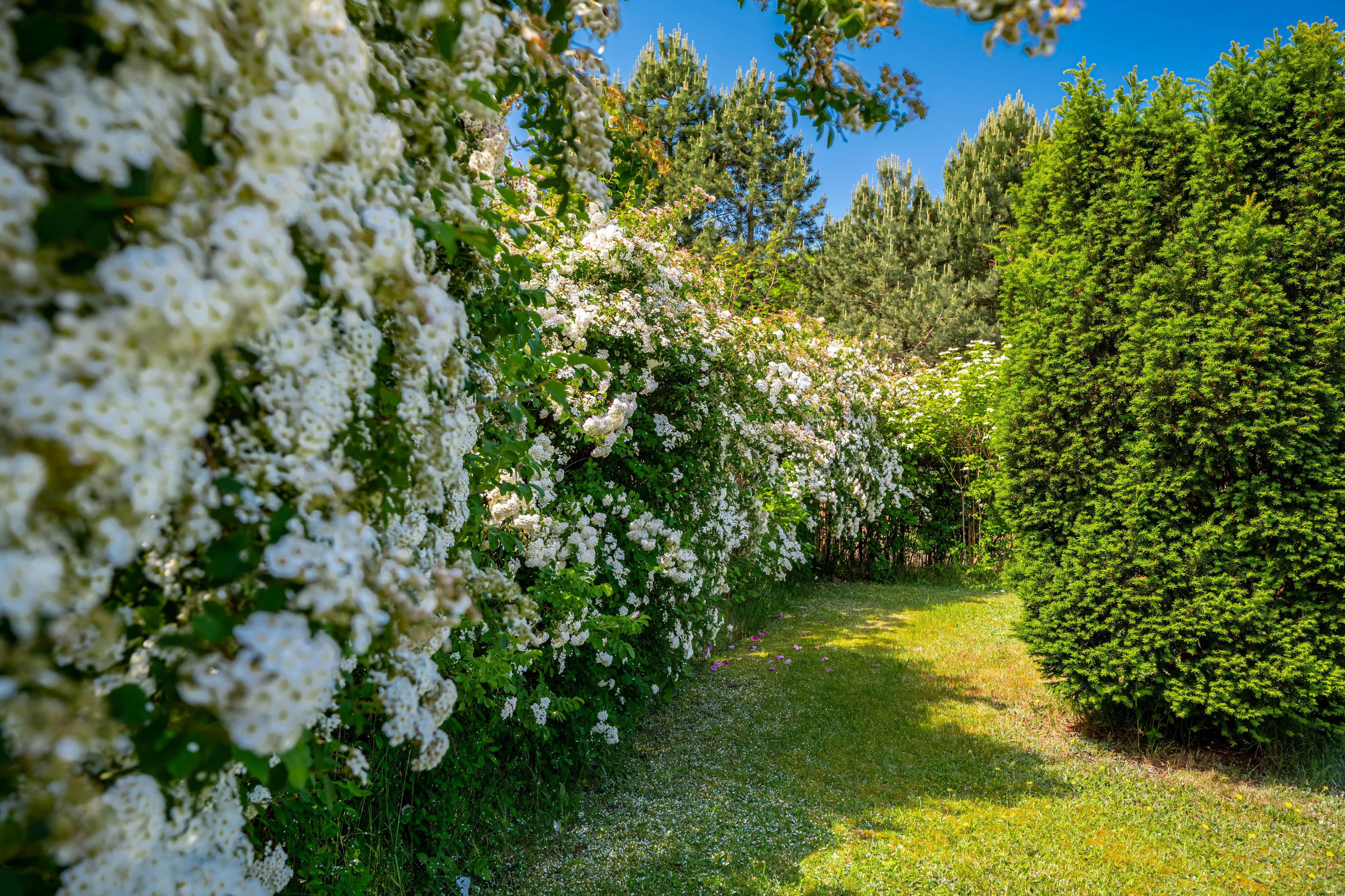  Haus Swante Wustrow Ostseebad Wustrow - 
