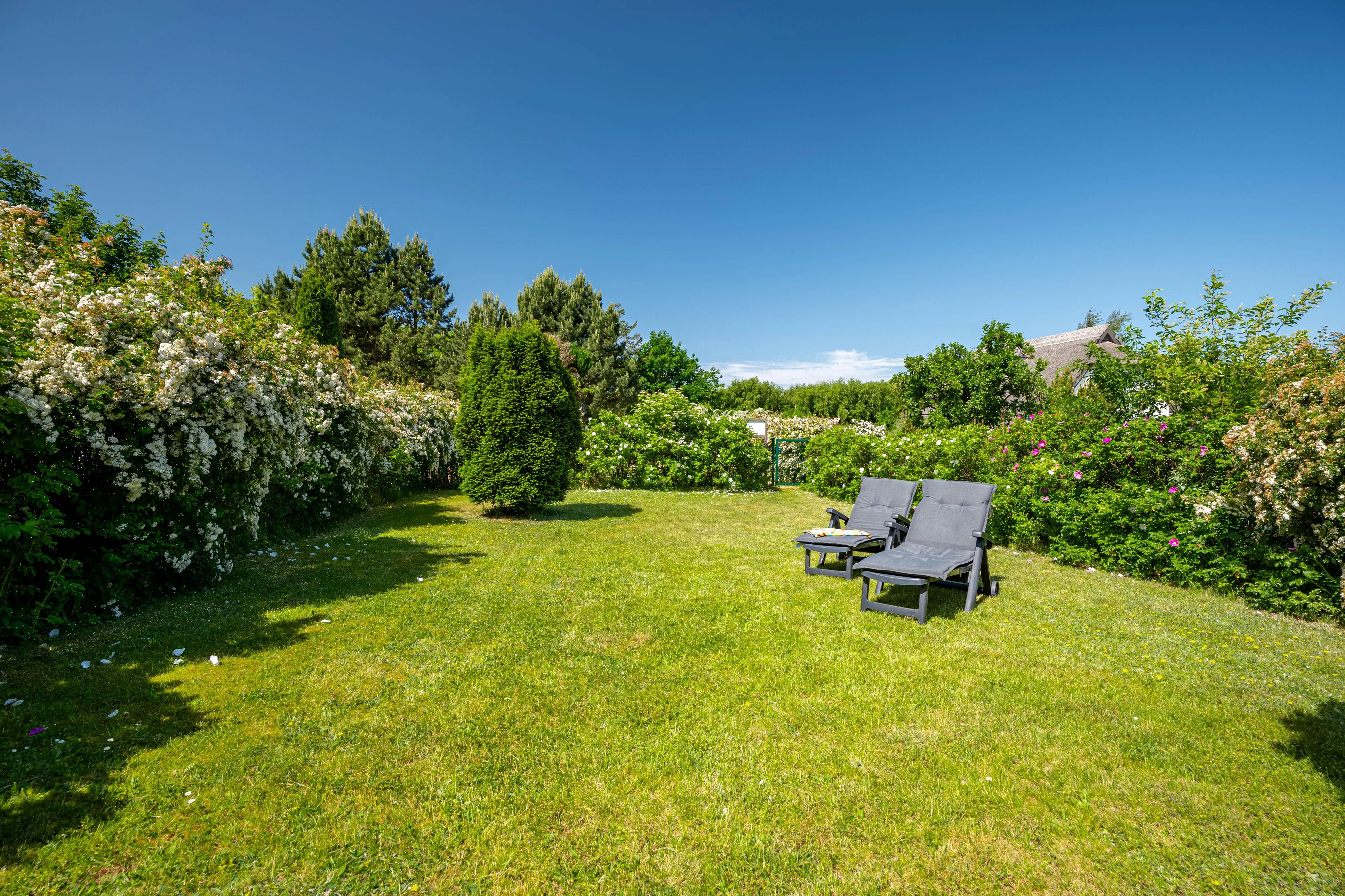  Haus Swante Wustrow Ostseebad Wustrow - 