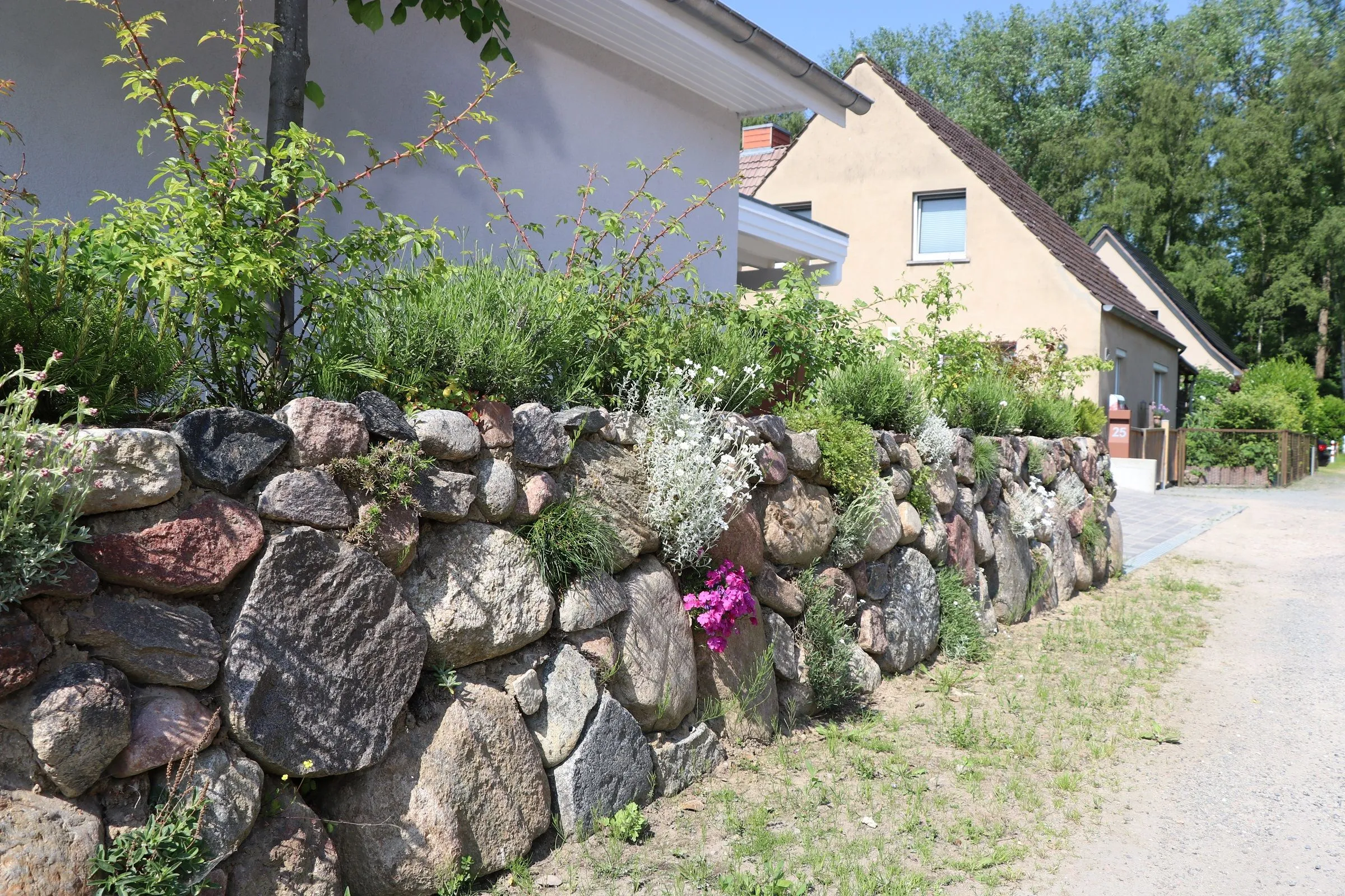  Ferienwohnung Anna Ostseebad Wustrow - 