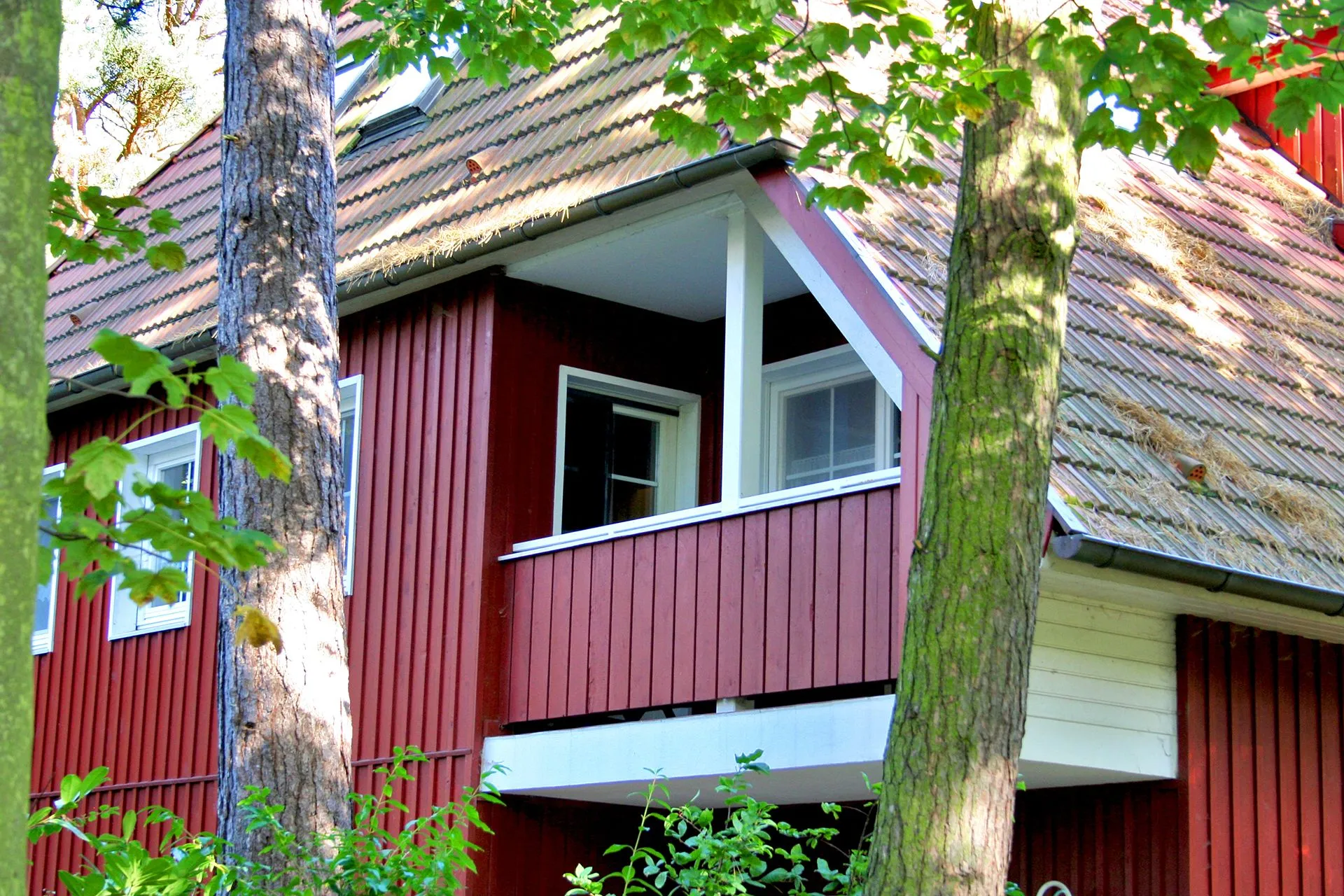  Ferienwohnung Glückspilz Ostseebad Prerow - 