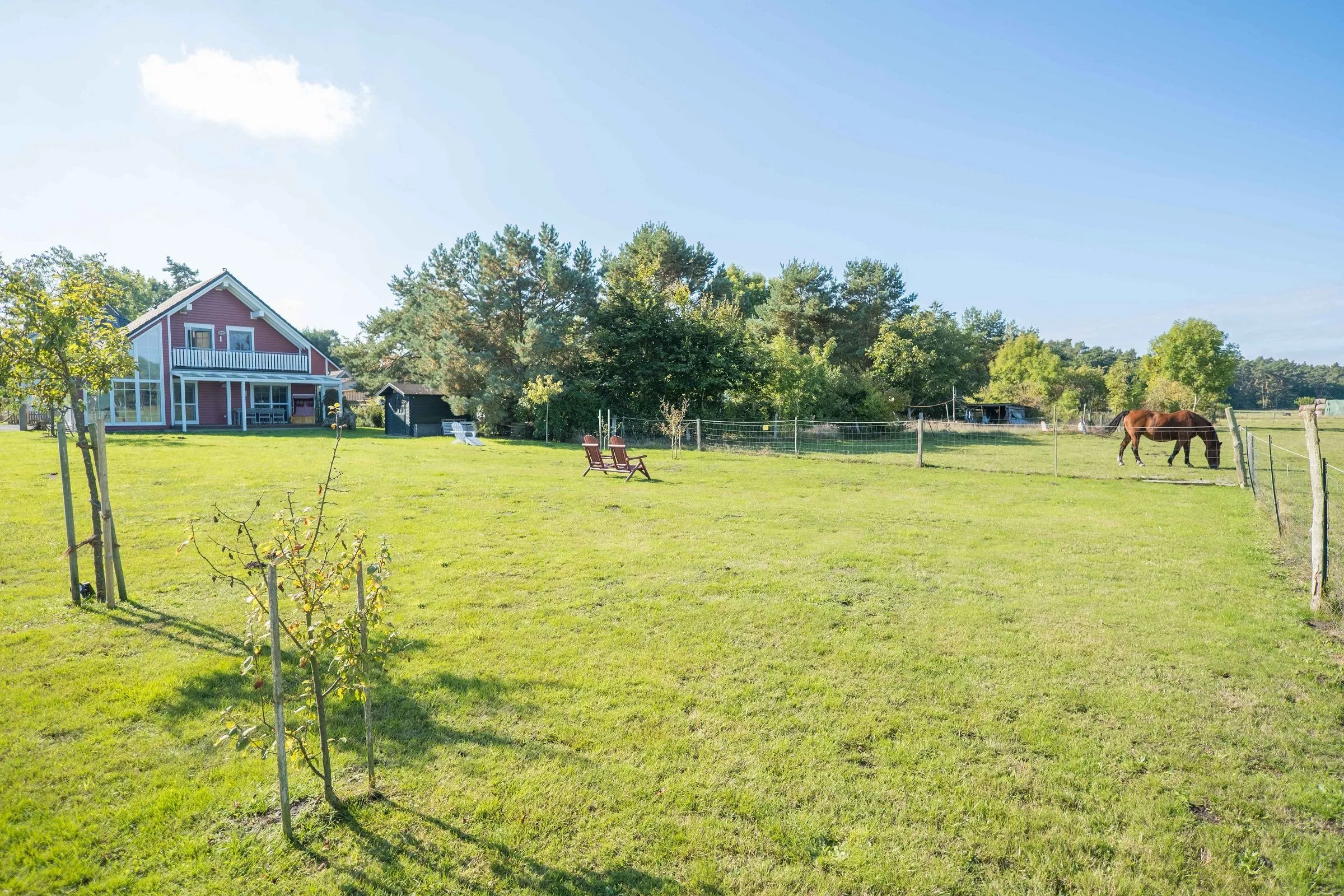 Born - Wieck DAT SCHWEDENHUS EG-Whg. WI-4.1 Erholungsort Wieck am Darß - 