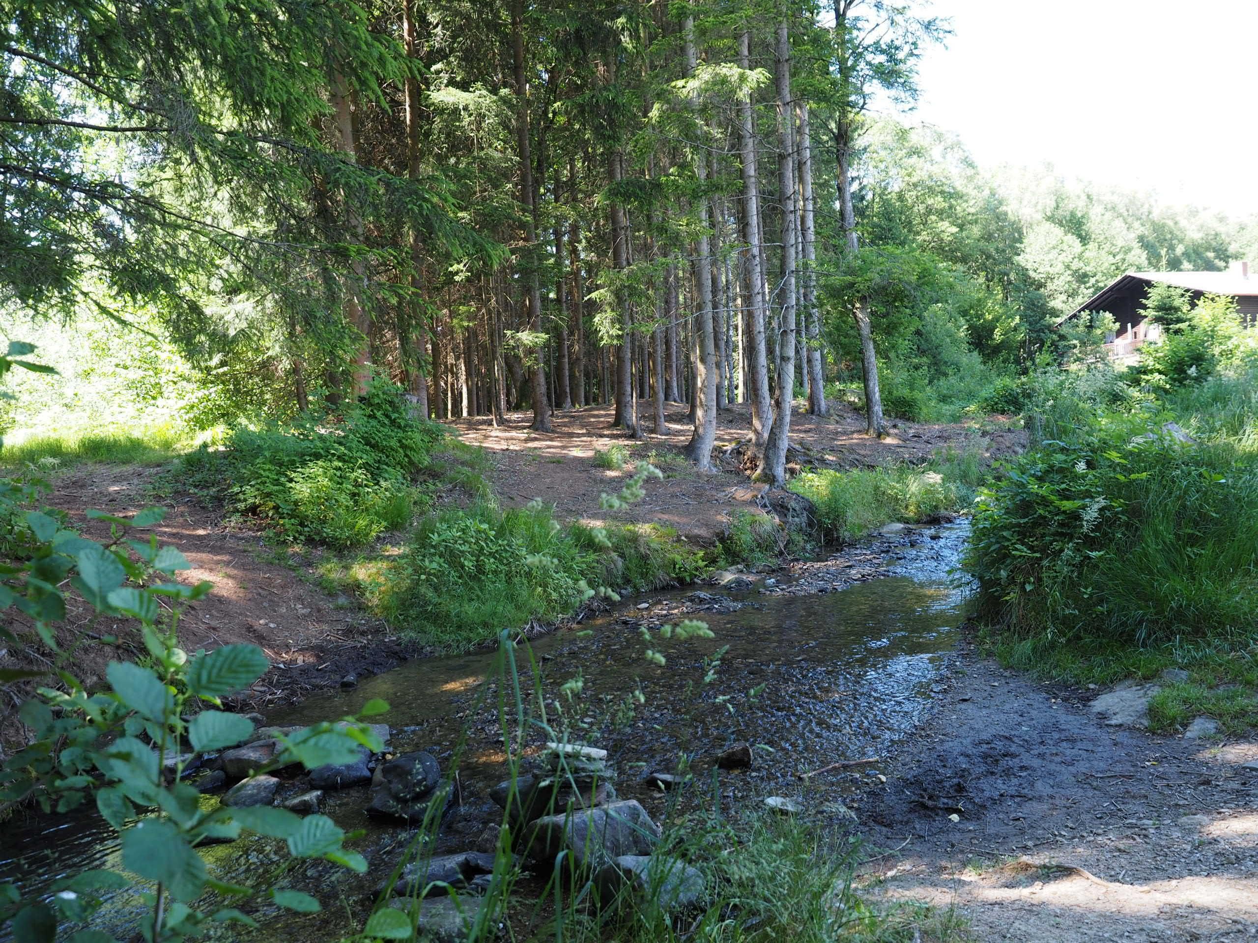 Bach Richtung Badesee