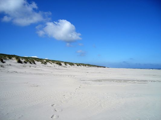 Foto 19 Ferienwohnung Ostfriesland Juist Meine Insel Meer (Objekt 77098) Urlaub