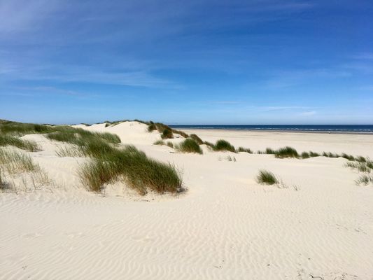 Foto 20 Ferienwohnung Ostfriesland Juist Meine Insel Meer (Objekt 77098) Reise