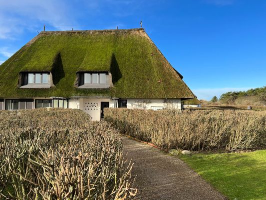 Foto 13 Ferienwohnung Ostfriesland Sylt Passat (Objekt 61951) Nordsee