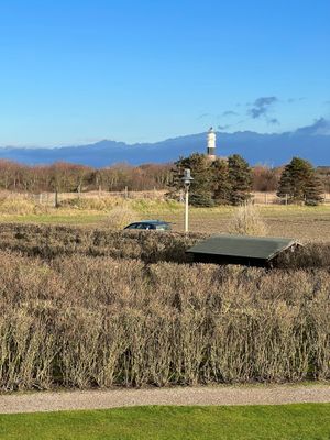 Foto 4 Ferienwohnung Ostfriesland Sylt Passat (Objekt 61951) Urlaub