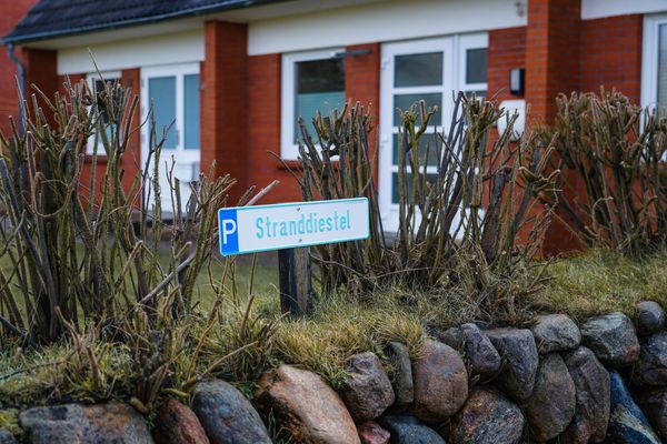 Foto 40 Ferienhaus Ostfriesland Sylt Haushälfte Stranddiestel (Objekt 62021) Reise