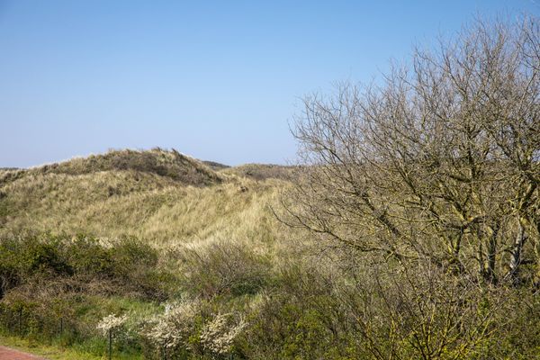 Foto 35 Ferienwohnung Ostfriesland Juist Residenz am Meer 24D Wissel (Objekt 86822) Reise