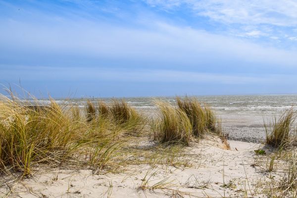 Foto 43 Ferienwohnung Ostfriesland Sylt Strand und Meer mit Sauna (Objekt 62063) Nordsee