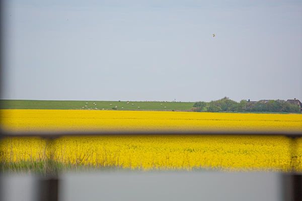 Landschaft