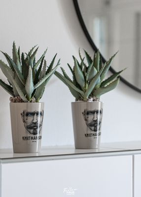  Knuts Hafenlounge - Badezimmer