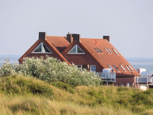 Foto 23 Ferienwohnung Ostfriesland Juist Residenz am Meer 24D Hüls (Objekt 86851) Nordsee