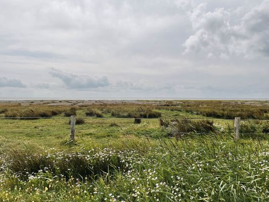 Foto 31 Ferienwohnung Ostfriesland Juist Residenz am Meer 24D Hüls (Objekt 86851) buchen
