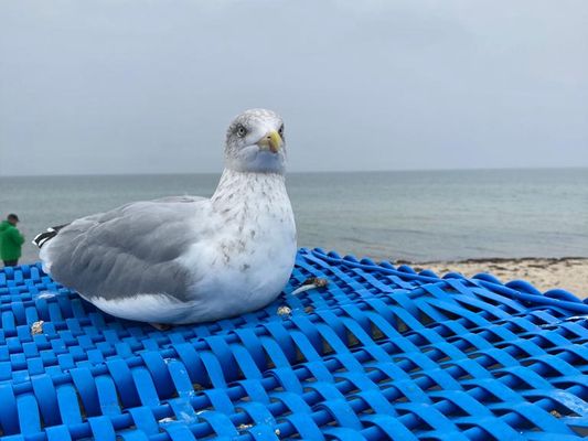  Meeresleuchten - 