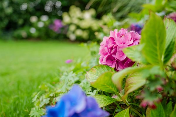 Foto 15 Ferienhaus Ostfriesland Sylt Oene (Objekt 62009) Reise