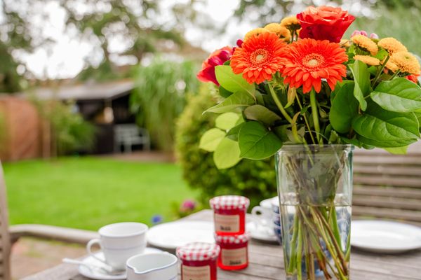 Foto 16 Ferienhaus Ostfriesland Sylt Oene (Objekt 62009) buchen