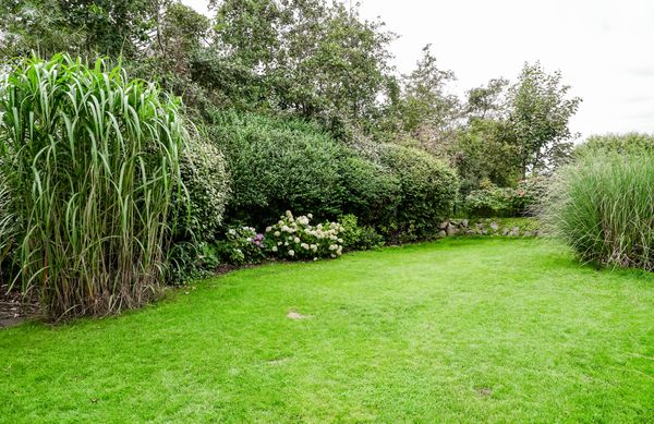 Foto 19 Ferienhaus Ostfriesland Sylt Oene (Objekt 62009) Urlaub