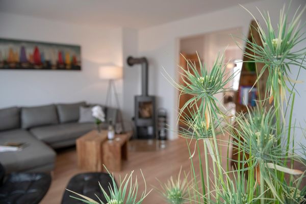  Strandelfe - Wohnzimmer