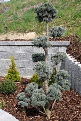 Terrasse, Chalet Chip-In, Haarbach