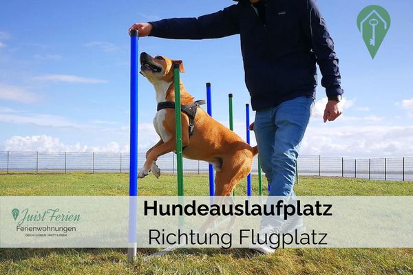 Foto 13 Ferienwohnung Ostfriesland Juist Residenz am Meer 24C Dorgeist (Objekt 86857) Nordsee