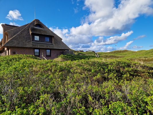 Foto 45 Ferienwohnung Ostfriesland Sylt Ferienwohnung Beachside 21 Rantum (Objekt 36196) Reise