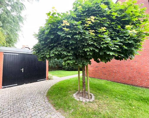 Foto 36 Ferienwohnung Ostfriesland Sylt Herzmuschel Tinnum (Objekt 61981) buchen