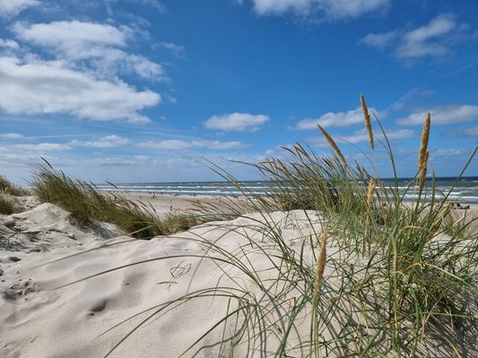 Foto 24 Ferienhaus Ostfriesland Norddeich & Umgebung 5 Sterne Ferienhaus Pilsum mit Sauna (Objekt 50664) Urlaub