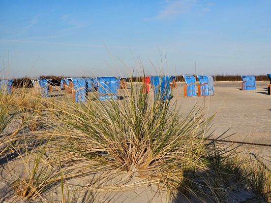 Foto 22 Ferienhaus Ostfriesland Norddeich & Umgebung 5 Sterne Ferienhaus Pilsum mit Sauna (Objekt 50664) suchen