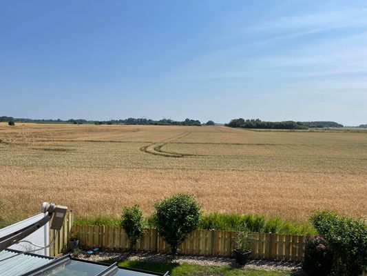 Foto 32 Ferienhaus Ostfriesland Krummhörn & Umgebung Ferienhaus AnJe (Objekt 81814) suchen