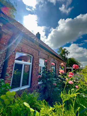 Foto 41 Ferienhaus Ostfriesland Friesland Dat Fischerhus - Horumersiel (Objekt 41812) buchen