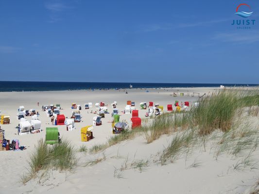 Foto 12 Ferienwohnung Ostfriesland Juist Haus Atelier Appartement 102 -  6 (Objekt 25488) suchen