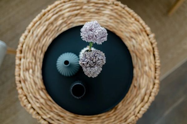 Foto 4 Ferienwohnung Ostfriesland Norderney Villa Alexander James Cook (Objekt 95038) Urlaub