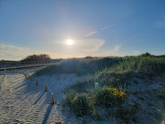 Foto 31 Ferienwohnung Ostfriesland Norddeich & Umgebung Ferienwohnung Meeresrauschen im Erdgeschoss mit Sauna und Haustier erlaubt (Objekt 60464) buchen