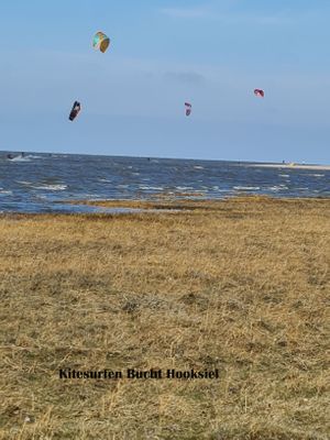 Foto 46 Ferienhaus Ostfriesland Friesland Haus Wasser oder Wat(t) (Objekt 62437) buchen