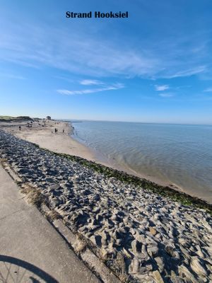 Foto 43 Ferienhaus Ostfriesland Friesland Haus Wasser oder Wat(t) (Objekt 62437) Nordsee