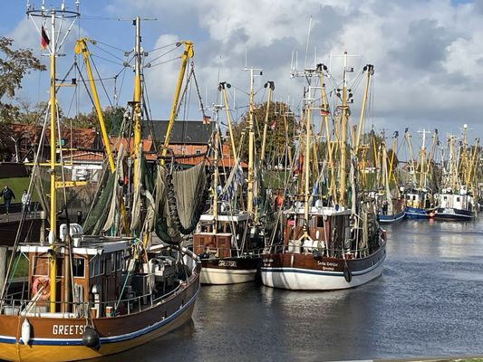 Foto 41 Ferienhaus Ostfriesland Krummhörn & Umgebung Lieblingsplatz am Siel (Objekt 63591) buchen