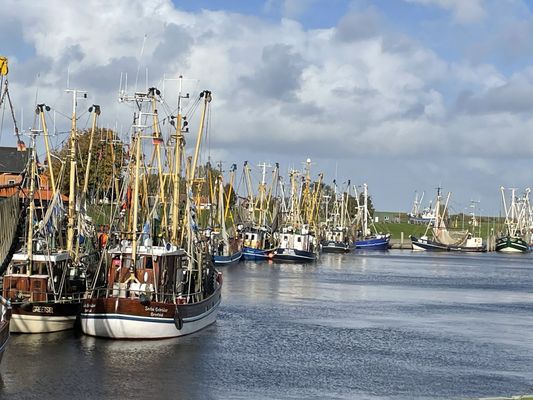 Foto 42 Ferienhaus Ostfriesland Krummhörn & Umgebung Lieblingsplatz am Siel (Objekt 63591) suchen