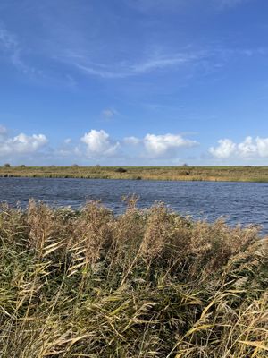 Foto 44 Ferienhaus Ostfriesland Krummhörn & Umgebung Lieblingsplatz am Siel (Objekt 63591) Urlaub