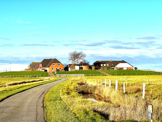 Foto 7 Ferienwohnung Ostfriesland Halligen Langeneß und Oland Hallig Hüs 2 (Objekt 64005) suchen
